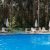 swimming-pool-forest-with-umbrellas-summer_0x800